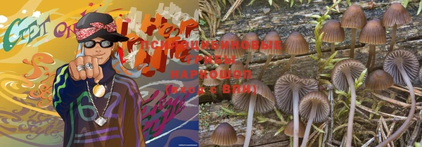 apvp Корсаков