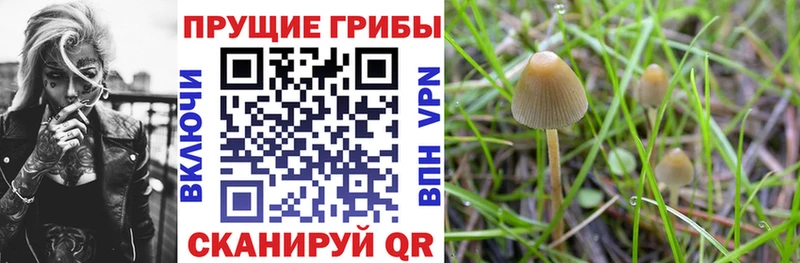 Псилоцибиновые грибы ЛСД Первоуральск