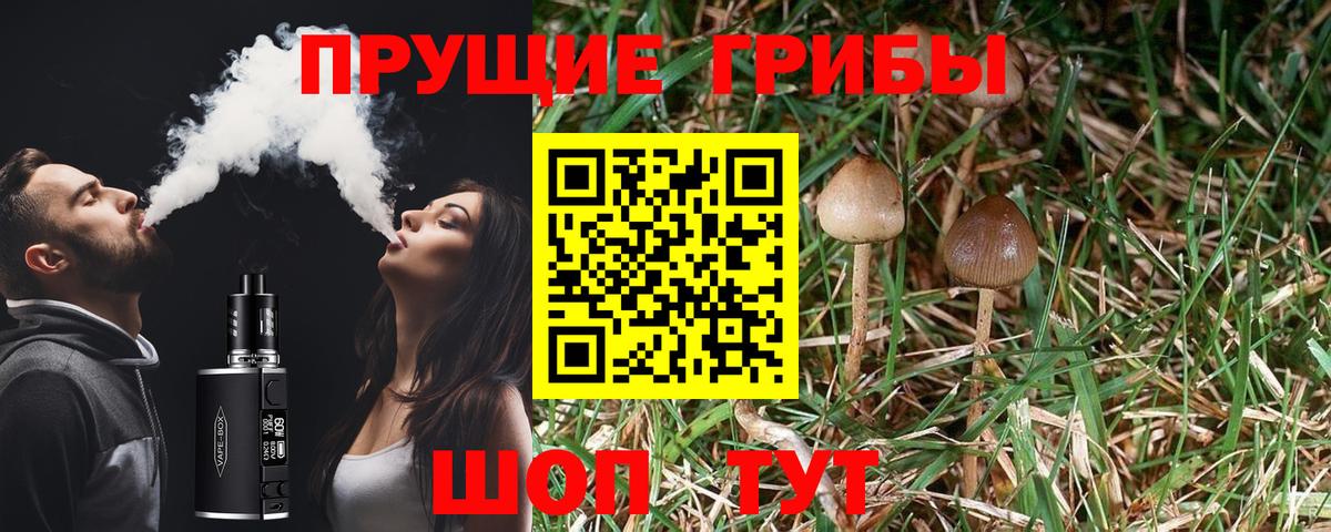 Галлюциногенные грибы Cubensis Первоуральск