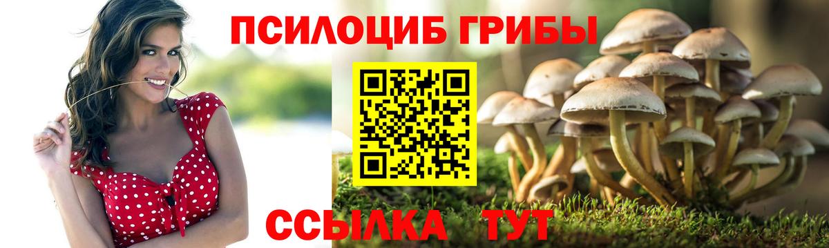Первоуральск  Галлюциногенные грибы MAGIC MUSHROOMS  Вход с VPN 